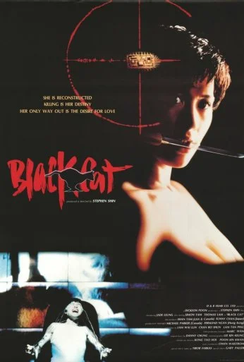 Чёрная кошка (1991) онлайн бесплатно